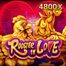 Rooster In Love